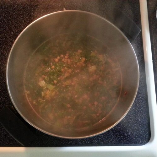Attempting to Duplicate Progresso Lentil Soup